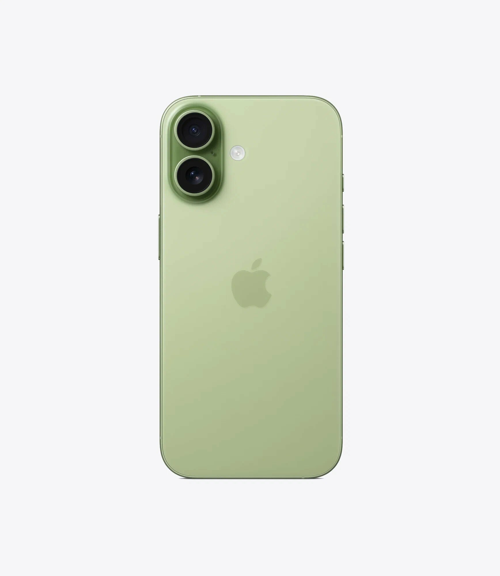 Смартфон Apple iPhone 17 256GB Sage (Зеленый) Dual ESim 2025 — фото 5