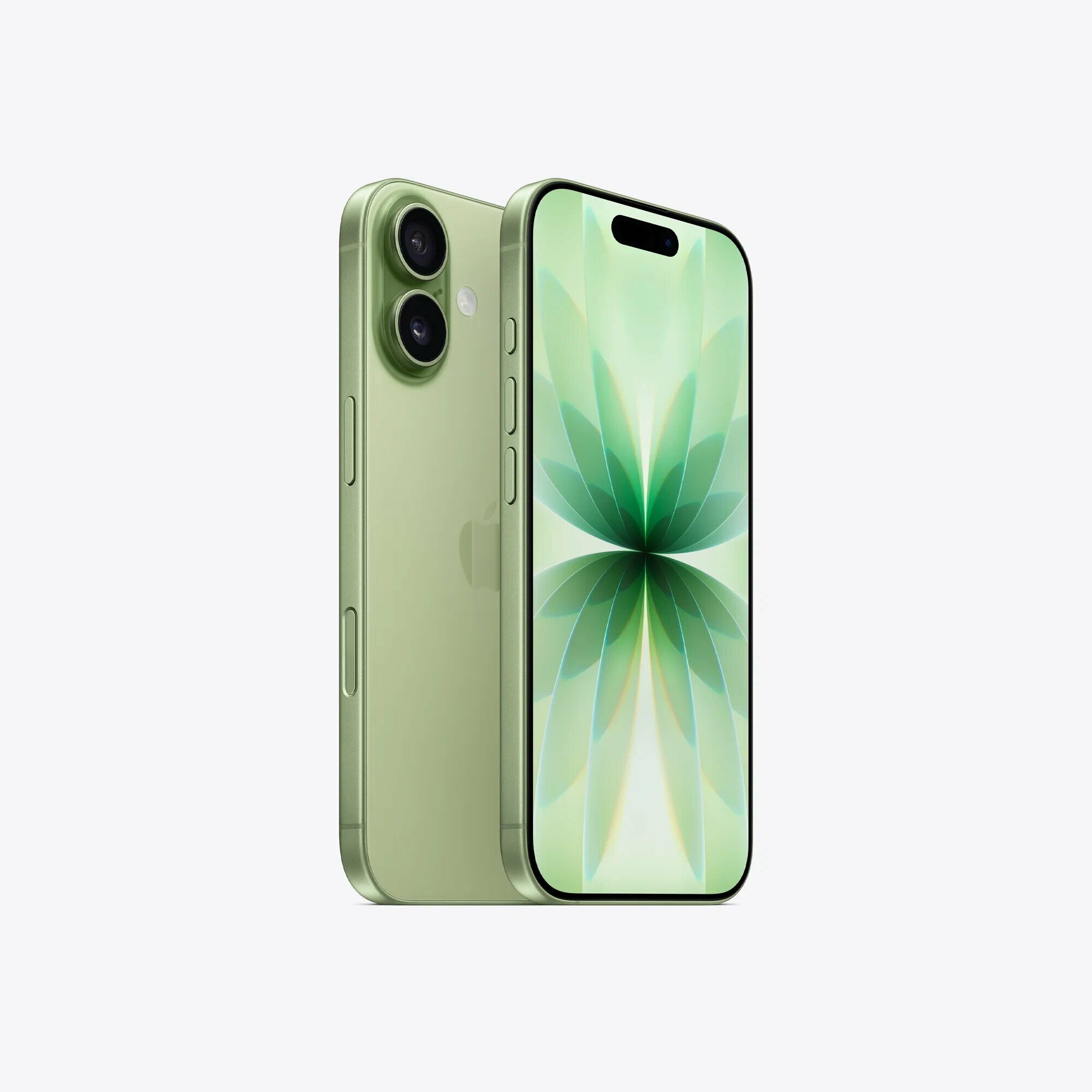 Смартфон Apple iPhone 17 256GB Sage (Зеленый) Dual ESim 2025 — фото 2
